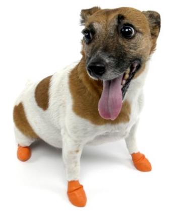 paw-z-walmart-dog-socks